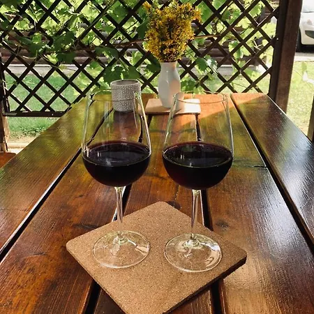 Hiska Marjetica * ポドチェトルテク