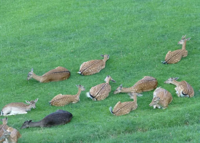 Holiday home Hiska Marjetica